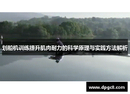 划船机训练提升肌肉耐力的科学原理与实践方法解析